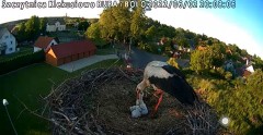 2022-06-02 20_06_30-Gniazdo bociana Klekusiowo kamera na żywo WebCamera.pl oglądaj – Kinza.jpg