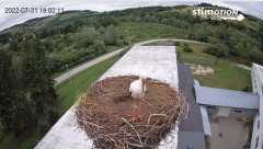 2022-07-31 19_02_22-Bociany w Rzepedzi _ Bieszczady _ Kamera LIVE! – Kinza.jpg