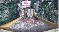 2022-11-24 20_18_11-bird table watch LIVE new table test run - YouTube – Maxthon.jpg