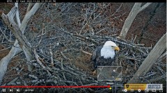 2022-12-04 23_25_23-Bluff City Cam 2_ ETSU Eagle Cameras - YouTube – Maxthon.jpg