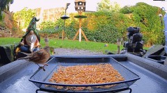 2022-12-06 21_15_57-Ground Feeding Webcam in Sheffield, England. Birds, Squirrels, Badgers, Foxes an.jpg