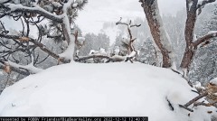 2022-12-12 21_51_38-Big Bear Bald Eagle Live Nest Cam - YouTube – Maxthon.jpg