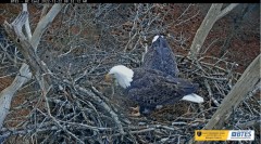 2022-12-22 22_35_51-Bluff City Cam 2_ ETSU Eagle Cameras - YouTube – Maxthon.jpg