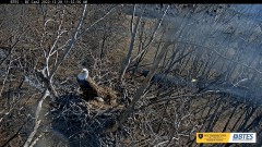 2022-12-28 22_49_00-Bluff City Cam 2_ ETSU Eagle Cameras - YouTube – Maxthon.jpg