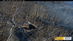 2022-12-28 22_47_55-Bluff City Cam 2_ ETSU Eagle Cameras - YouTube – Maxthon.jpg