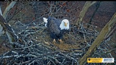 2023-01-01 23_19_42-Bluff City Cam 2_ ETSU Eagle Cameras - YouTube – Maxthon.jpg