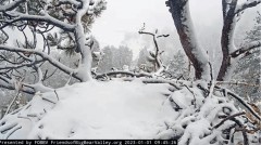 2023-01-01 23_38_41-Big Bear Bald Eagle Live Nest Cam - YouTube – Maxthon.jpg