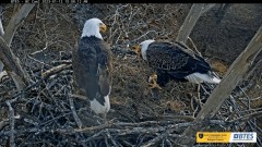 2023-01-12 22_12_17-Bluff City Cam 2_ ETSU Eagle Cameras - YouTube – Maxthon.jpg