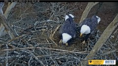 2023-01-13 23_32_32-Bluff City Cam 2_ ETSU Eagle Cameras - YouTube – Maxthon.jpg