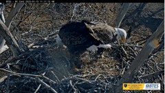 2023-01-15 23_19_15-Bluff City Cam 2_ ETSU Eagle Cameras - YouTube – Maxthon.jpg