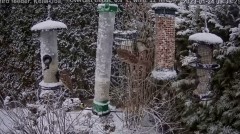 2023-01-24 19_27_08-Bird feeder LIVE. Keila-Joa, Estonia - YouTube – Maxthon.jpg