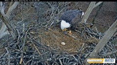 2023-02-01 22_13_16-Bluff City Cam 2_ ETSU Eagle Cameras - YouTube – Maxthon.jpg