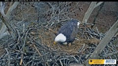 2023-02-01 22_13_55-Bluff City Cam 2_ ETSU Eagle Cameras - YouTube – Maxthon.jpg