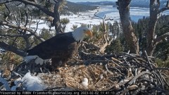 2023-02-02 23_19_10-Big Bear Bald Eagle Live Nest - Cam 1 - YouTube – Maxthon.jpg