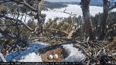 2023-03-06 21_16_53-Big Bear Bald Eagle Live Nest - Cam 1 - YouTube – Maxthon.jpg