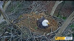 2023-03-13 22_22_41-Bluff City Cam 2_ ETSU Eagle Cameras - YouTube – Maxthon.jpg