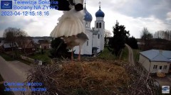 2023-04-12 21_35_05-Gniazdo Bocianie - Telewizja Sokółka [NA ŻYWO] _ IP Camera_ Stork's nest [LIVE] .jpg