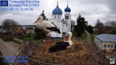 2023-04-15 20_45_00-Gniazdo Bocianie - Telewizja Sokółka [NA ŻYWO] _ IP Camera_ Stork's nest [LIVE] .jpg