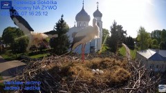2023-05-07 20_13_07-Gniazdo Bocianie - Telewizja Sokółka [NA ŻYWO] _ IP Camera_ Stork's nest [LIVE] .jpg