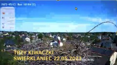 2023-05-22 10_40_32-Edytor wideo online - proste i bezpłatne narzędzie do edycji wideo – Maxthon.jpg