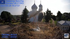 2023-05-28 20_32_24-Gniazdo Bocianie - Telewizja Sokółka [NA ŻYWO] _ IP Camera_ Stork's nest [LIVE] .jpg