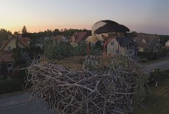 2023-06-04 21_11_07-BOCIANY kamera na żywo z gniazda w Pasłęku – Maxthon.jpg