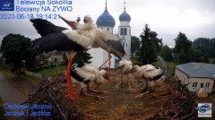 2023-06-18 19_53_49-Gniazdo Bocianie - Telewizja Sokółka [NA ŻYWO] _ IP Camera_ Stork's nest [LIVE] .jpg