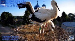 2023-06-26 21_58_18-(2) Gniazdo Bocianie - Telewizja Sokółka [NA ŻYWO] _ IP Camera_ Stork's nest [LI.jpg