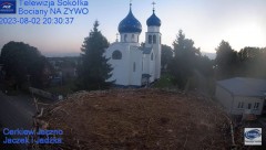 2023-08-02 20_36_35-Gniazdo Bocianie - Telewizja Sokółka [NA ŻYWO] _ IP Camera_ Stork's nest [LIVE] .jpg