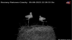 2023-08-05 22_29_10-Bocian LIVE E.1 - Polskie Towarzystwo Ochrony Ptaków – Maxthon.jpg