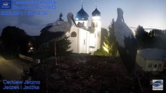 2023-08-11 21_16_46-Gniazdo Bocianie - Telewizja Sokółka [NA ŻYWO] _ IP Camera_ Stork's nest [LIVE] .jpg