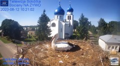 2023-08-12 20_50_45-Gniazdo Bocianie - Telewizja Sokółka [NA ŻYWO] _ IP Camera_ Stork's nest [LIVE] .jpg