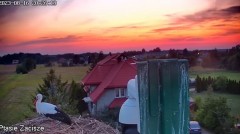 2023-08-16 20_51_23-Gniazdo bocianie Ostrołęka - _Osti i Lenka_ na żywo - YouTube – Maxthon.jpg