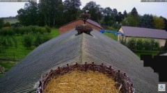 2023-10-07 20_02_50-Kozubszczyzna - gniazda na stodole - YouTube – Maxthon.jpg
