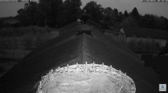 2023-10-07 20_03_11-Kozubszczyzna - gniazda na stodole - YouTube – Maxthon.jpg