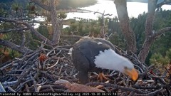 2023-10-30 22_09_05-Big Bear Bald Eagle Live Nest - Cam 1 - YouTube – Slimjet.jpg