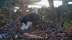 2023-10-30 22_09_12-Big Bear Bald Eagle Live Nest - Cam 1 - YouTube – Slimjet.jpg