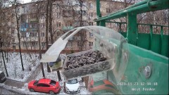 2023-11-23 20_22_33-Кормушка _ Bird Feeder Live Stream - YouTube – Maxthon.jpg