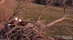 2023-11-23 22_58_42-Decorah Eagles - North Nest powered by EXPLORE.org - YouTube – Maxthon.jpg