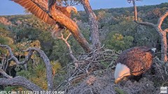 2023-11-28 16_20_04-YouTube - NEFL Cam 1 - Live Bald Eagle Cam - YouTube.jpg