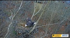 2023-12-04 22_10_27-Bluff City Cam 2_ ETSU Eagle Cameras - YouTube – Maxthon.jpg