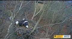 2023-12-04 22_10_36-Bluff City Cam 2_ ETSU Eagle Cameras - YouTube – Maxthon.jpg