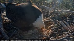 2024-03-10 20_00_32-Big Bear Bald Eagle Live Nest - Cam 1 - YouTube – Maxthon.jpg