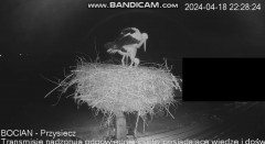 bandicam 2024-04-18 22-46-32-237.jpg