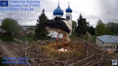 2024-04-22 21_29_14-Gniazdo Bocianie - Telewizja Sokółka [NA ŻYWO] _ IP Camera_ Stork's nest [LIVE] .jpg