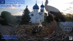 2024-04-26 21_00_58-Gniazdo Bocianie - Telewizja Sokółka [NA ŻYWO] _ IP Camera_ Stork's nest [LIVE] .jpg