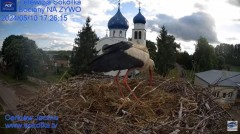 2024-05-10 20_03_54-(2) Gniazdo Bocianie - Telewizja Sokółka [NA ŻYWO] _ IP Camera_ Stork's nest [LI.jpg