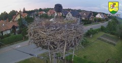 2024-05-26 20_43_43-BOCIANY kamera na żywo z gniazda w Pasłęku – Maxthon.jpg
