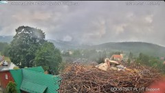 2024-05-31 23_49_48-Bocianie Gniazdo Podgórzyn - Kamera na żywo - Live 2024 - YouTube – Maxthon.jpg