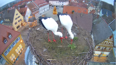 2022_01_01_08_12_20_Storchencam_Storchennest_Hoechstadt.de_Mozilla_Firefox.png